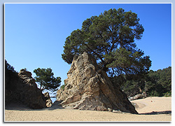 Platja de Santa Cristina